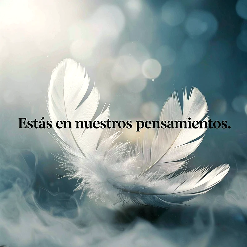 Varias plumas blancas y suaves flotando entre niebla, con un fondo etéreo azul y luces bokeh. El texto dice 'Estás en nuestros pensamientos'.