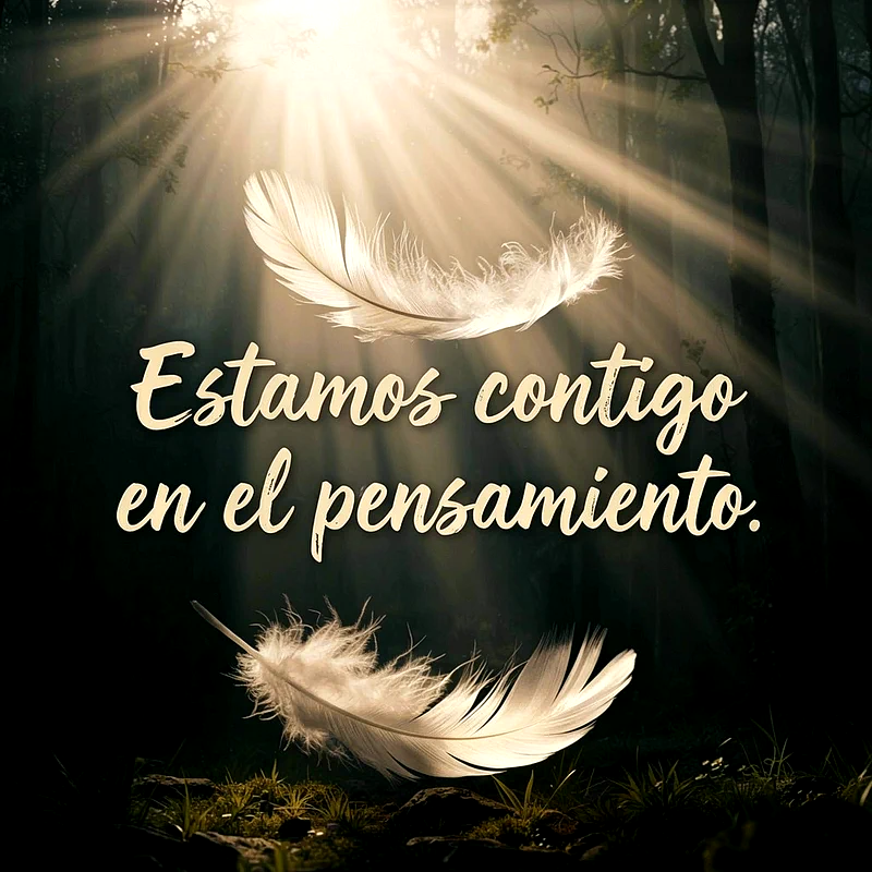 Imagen de dos plumas blancas, una flotando y otra en el suelo, con rayos de sol cálidos sobre fondo oscuro de bosque. El texto dice 'Estamos contigo en el pensamiento'.