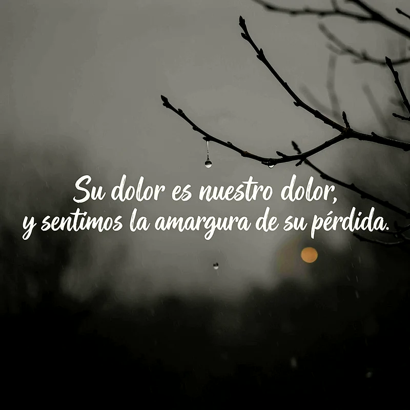 Ramas desnudas con gotas de lluvia, tonos grises. Un punto de luz tenue al fondo. El texto expresa: 'Su dolor es nuestro dolor, y sentimos la amargura de su pérdida'.