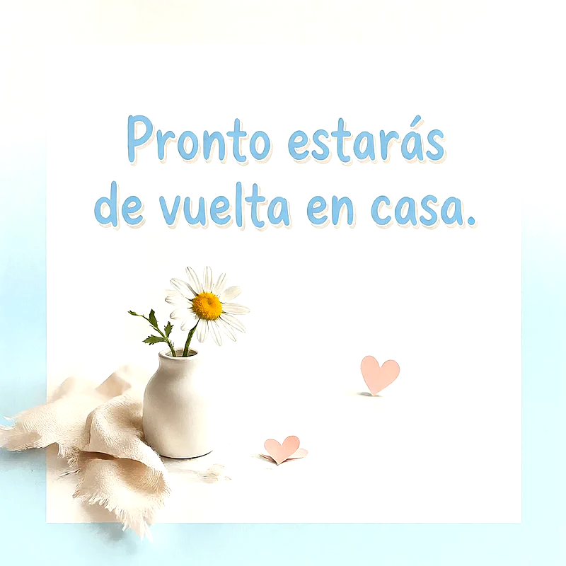 Margarita blanca en jarrón pequeño con corazones rosas de papel sobre fondo blanco y mensaje de ánimo en letras celestes.
