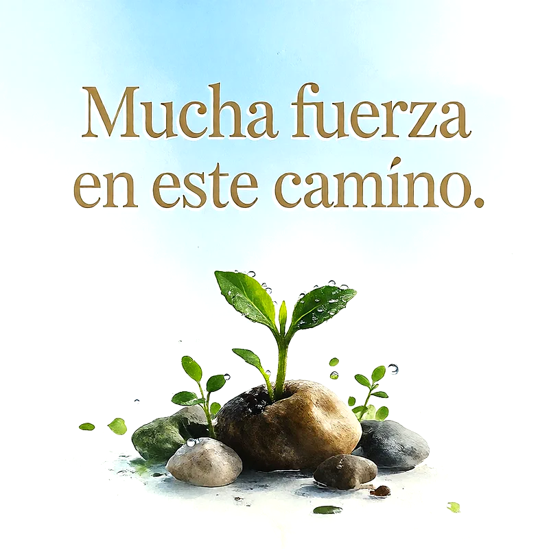 Pequeña planta verde brotando entre piedras con gotas de agua y fondo celeste claro con mensaje de ánimo en letras doradas.