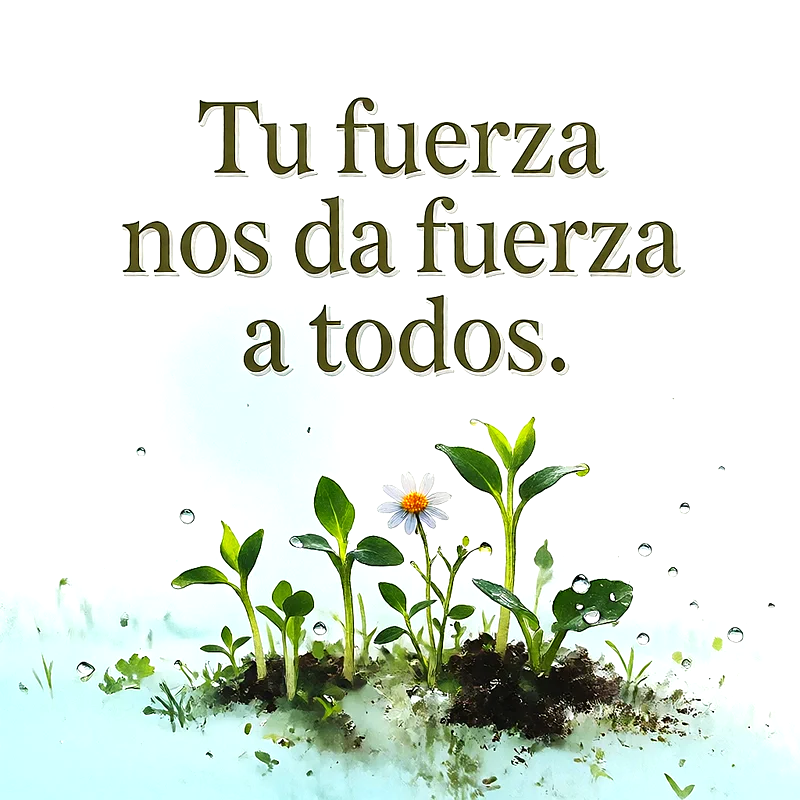 Fondo blanco y claro con brotes verdes brotando de la tierra, gotas de agua y una pequeña margarita, mensaje de fortaleza en letras verdes.