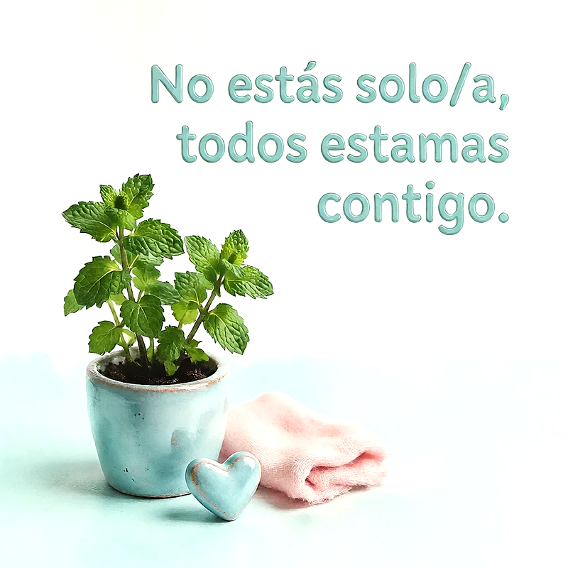 Planta verde en maceta celeste junto a un corazón de cerámica y tela rosa con mensaje de apoyo en letras verdes.