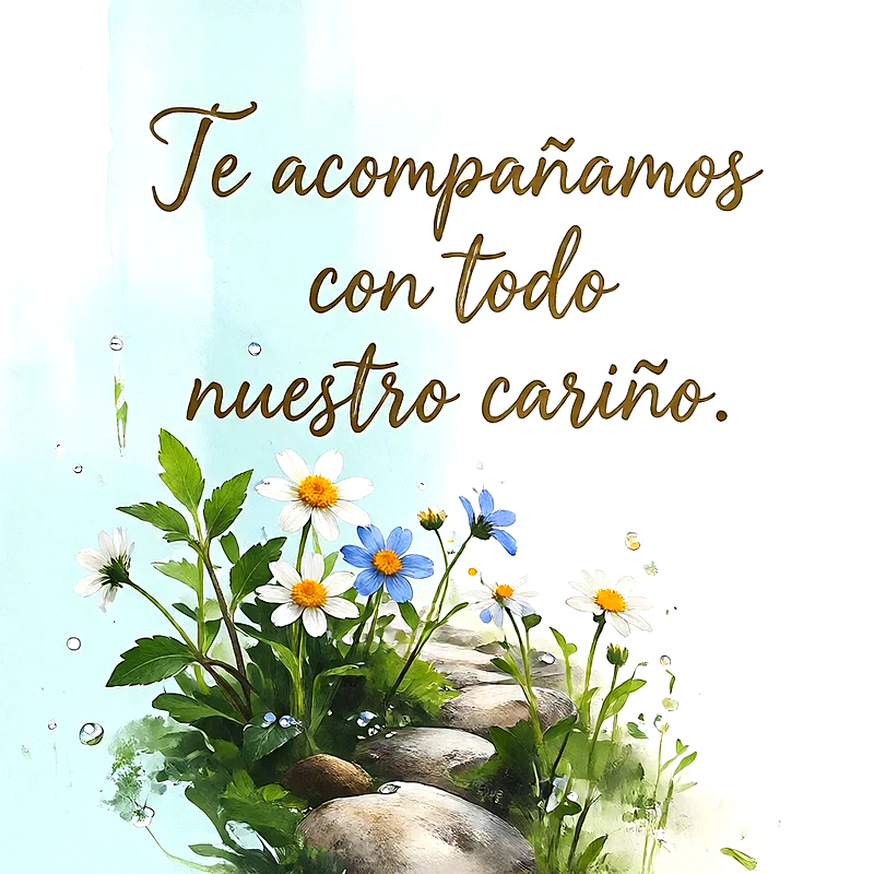 Flores blancas y azules sobre piedras naturales con gotas de agua y fondo suave, mensaje de ánimo escrito en letras marrones oscuras.