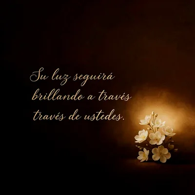 Imagen oscura con luz cálida que ilumina un ramillete de flores blancas pequeñas. El texto dorado dice 'Su luz seguirá brillando a través través de ustedes'.