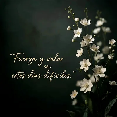 Flores blancas estilo anémona sobre fondo oscuro verde, texto dorado que dice Fuerza y valor en estos días difíciles, estilo elegante.