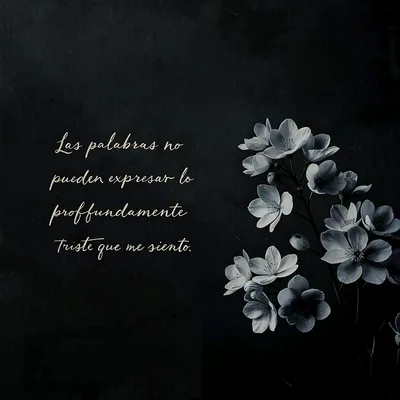 Imagen de pésame con un fondo oscuro y un ramillete de flores en tonos grises y blancos. El texto visible dice 'Las palabras no pueden expresar lo profundamente triste que me siento'.