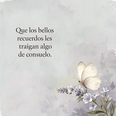 Mariposa blanca posada sobre delicadas flores lilas y blancas, con un fondo grisáceo texturizado y la frase de consuelo visible.